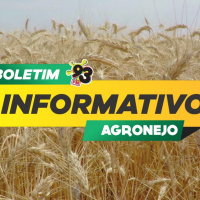 Episode 452: Boletim Agronejo