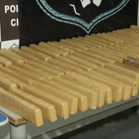 Primos são presos com 88 tabletes de maconha