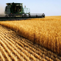 Episode 427: Boletim Agronejo