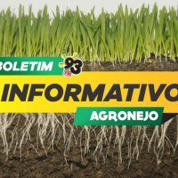 Episode 441: Boletim Agronejo