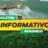 Episode 501: Boletim Agronejo