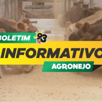 Episode 486: Boletim Agronejo