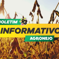 Episode 472: Boletim Agronejo