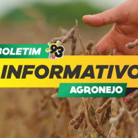 Episode 414: Boletim Agronejo