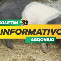 Episode 476: Boletim Agronejo