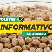 Episode 447: Boletim Agronejo