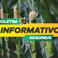 Episode 424: Boletim Agronejo