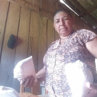 Agricultoras transformam coco do babaçu em fonte de renda