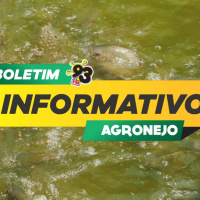 Episode 465: Boletim Agronejo