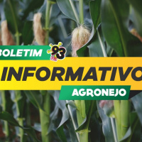 Episode 512: Boletim Agronejo