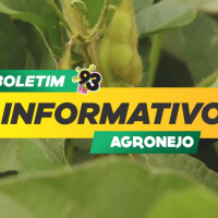 Episode 479: Boletim Agronejo