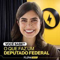 O QUE FAZ UMA DEPUTADA FEDERAL?