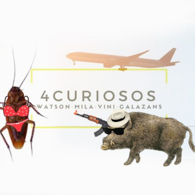 4curiosos