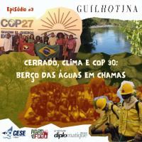 #Episódio 3 | No rastro do fogo: agronegócio e a destruição do Cerrado