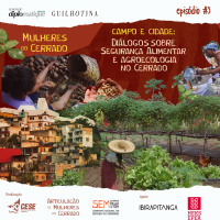 Mulheres do Cerrado | #3 Campo e cidade: diálogos sobre segurança alimentar e agroecologia no Cerrado