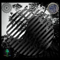 2 - Tribalflux - 152BPM