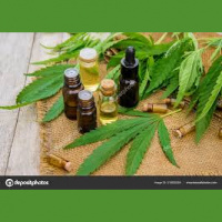 ATIVIDADE ANTIMICROBIANA DE EXTRATOS ETANÓLICOS DE VÁRIAS FOLHAS DE PLANTAS CONTRA ESPÉCIES MICROBIANAS SELECIONADAS