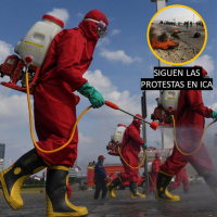FELIZ SEGUNDA OLA