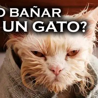 Ayer Fue Lunes