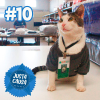 #10 - Profissões Animais: animais em todos os sentidos. 