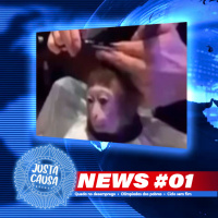 JC News #01 - Queda no desemprego, Olimpíadas dos pobres e o Ciclo sem fim. 