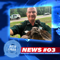 JC News #03 - Ihuuuuu, Tartaruga amiga, Joelma se levanta novamente e Ed Sheeran (feat. Aline Alencar)