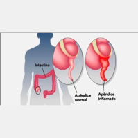 Podcast Ideia Errada #166 Renato Vive! Indicações e Desindicações!