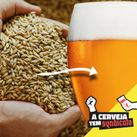 Como fazer cerveja em casa (O Guia Essencial) [A Cerveja tem Syndicato #13]