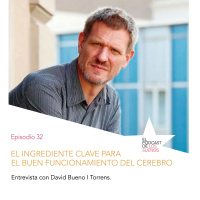 Ingrediente clave para el buen funcionamiento del cerebro. Ep. 32