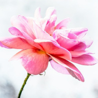 Ep 14: It Looks IMPOSSIBLE.