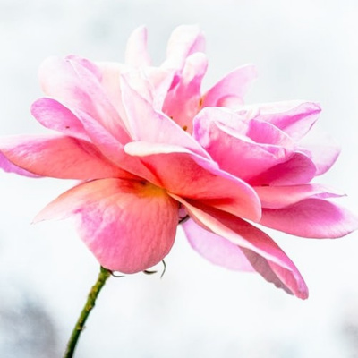 Im Living My Best Life. Are You?