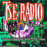 TSE RADIO 