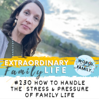 #230 How to Handle the Stress amp Pressure of Family Life and to Move Into Higher Level Emotions