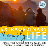 #183 Seeing BEYOND Roe Vs. Wade, Gun Control, amp Other Surface Tensions