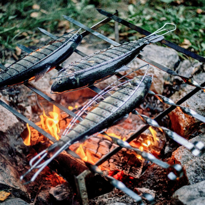 On Further Reflection With Norm Allen