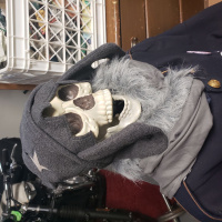 Know Where You live: Unusual history of a local neighborhood and a cat ghost