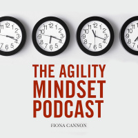Agility Mindset Podcast Series 2 Episode 3 - Ian Greenaway