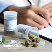 38 Gibt es einen Cannabis-Hype in der Apotheke?