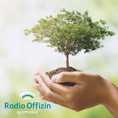 Radio Offizin