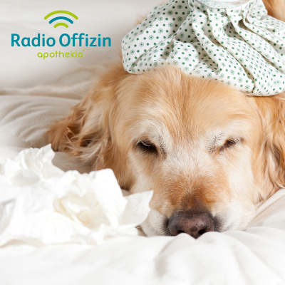 Radio Offizin