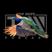 Episode 113: Just Winging It