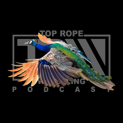 Top Rope Wrestling Podcast