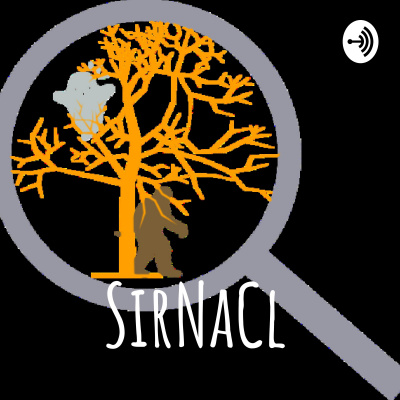 Sirnacl Discusses