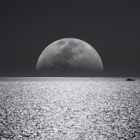 The Rise of Antichrist