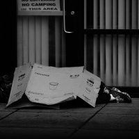 Investigative Justice 