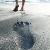 To Follow or not to Follow