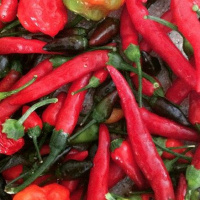 Welche Geschichten überleben?