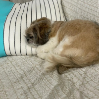 Os Cristãos e o Sábado