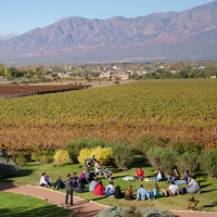 Protopía • Capítulo 8 •El modelo andragógico UPAP, por Roberto Robino. 