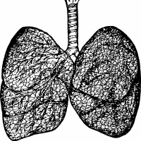 Blood Pressure and Breathing